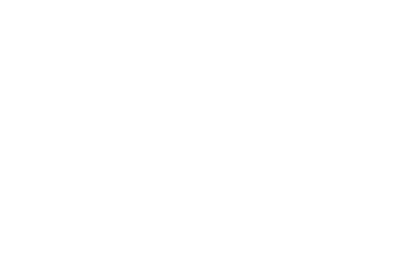 ozyzor